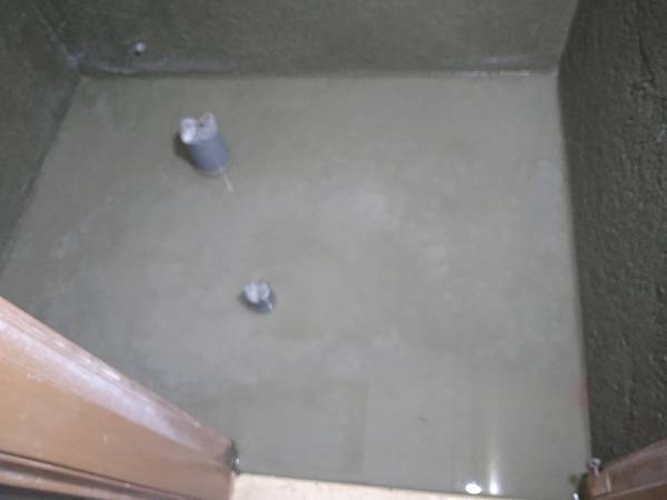 DSC_1773.jpg DSC_1773.jpg