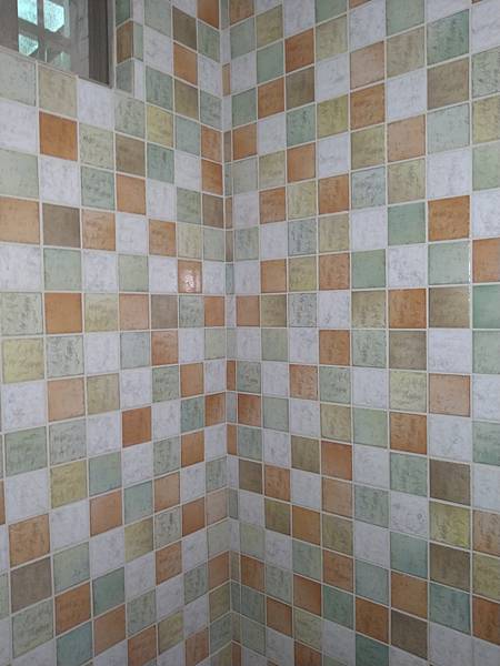 DSC_1923.jpg DSC_1923.jpg