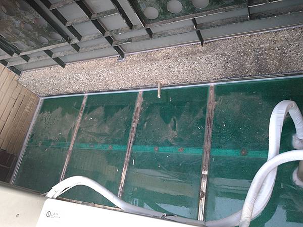 DSC_2095.jpg DSC_2095.jpg