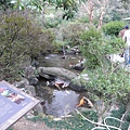 日式庭園水景