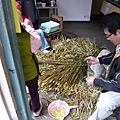 平溪的箭竹