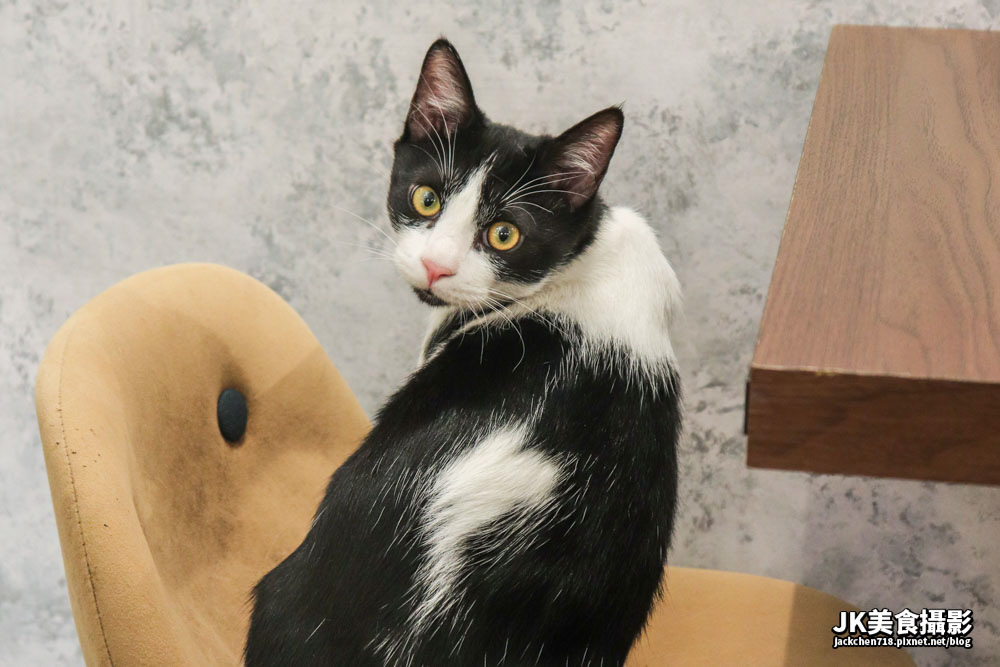 IMG_0941_1_1.JPG IMG_0941_1_1.JPG