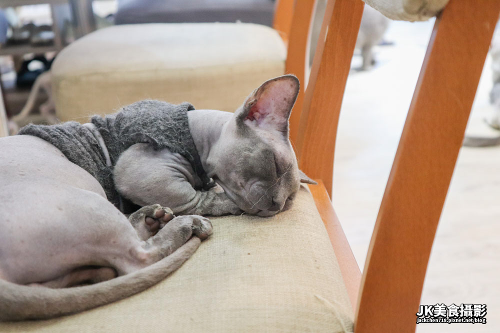 IMG_6083_1_1.JPG IMG_6083_1_1.JPG