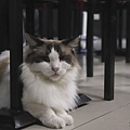 IMG_5938_1_1_1 拷貝.jpg