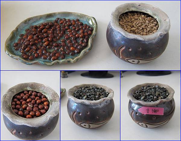 03小陶盆-香楠種植(赤玉土-土耕).jpg