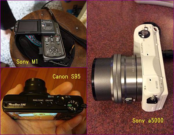 19部落格幕後功臣~數位相機~1代Sony M1~2代Canon S95~3代Sony a5000.jpg