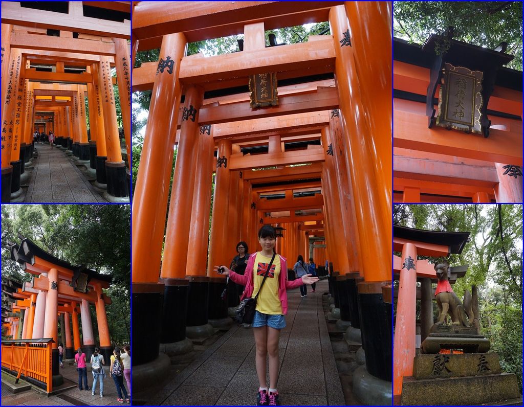 06稻荷大社的千本鳥居.jpg 06稻荷大社的千本鳥居.jpg