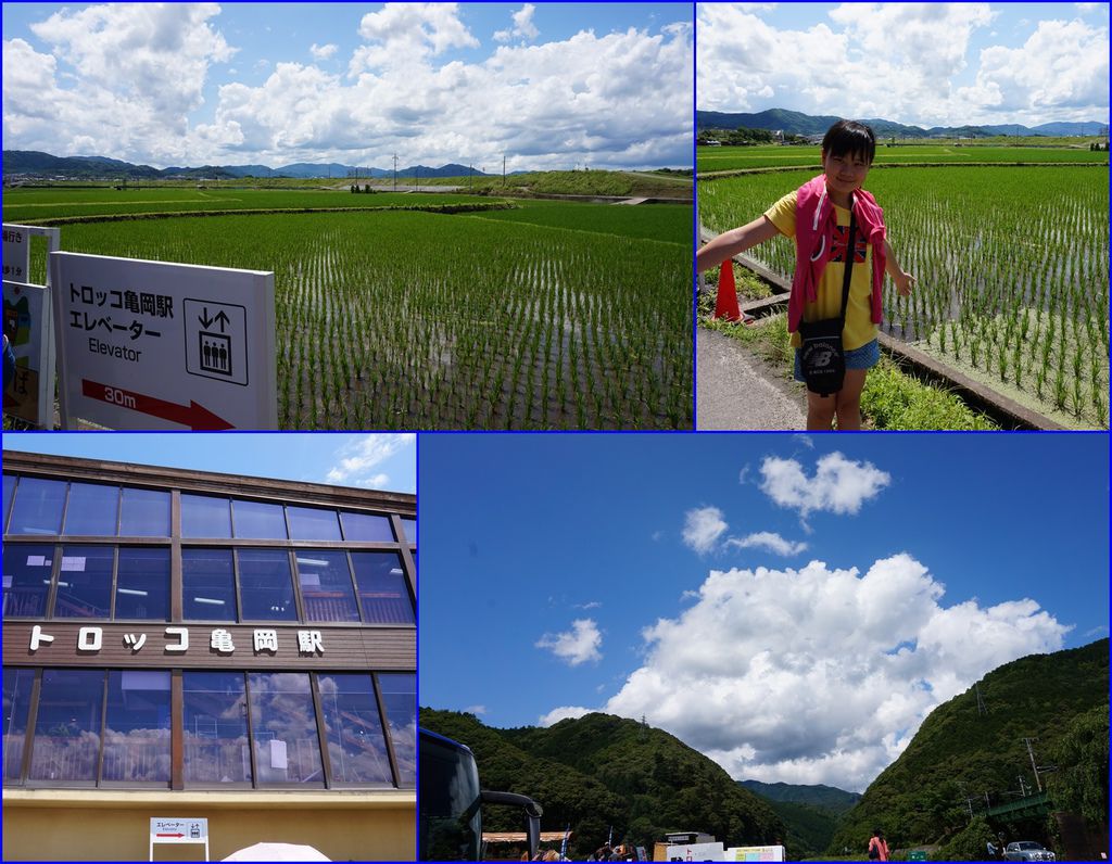 20搭小火車到龜岡車站下車感覺很鄉野的地方.jpg 20搭小火車到龜岡車站下車感覺很鄉野的地方.jpg