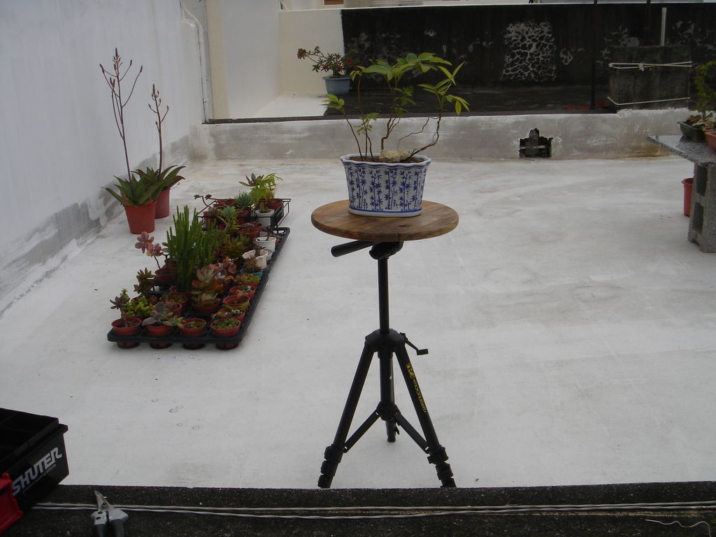 08自製腳架圓盤盆栽工作台.JPG 08自製腳架圓盤盆栽工作台.JPG