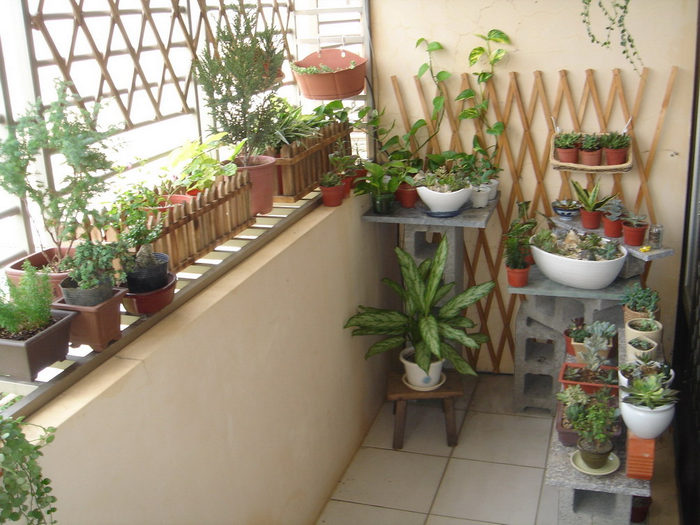 01陽台-後.JPG 01陽台-後.JPG