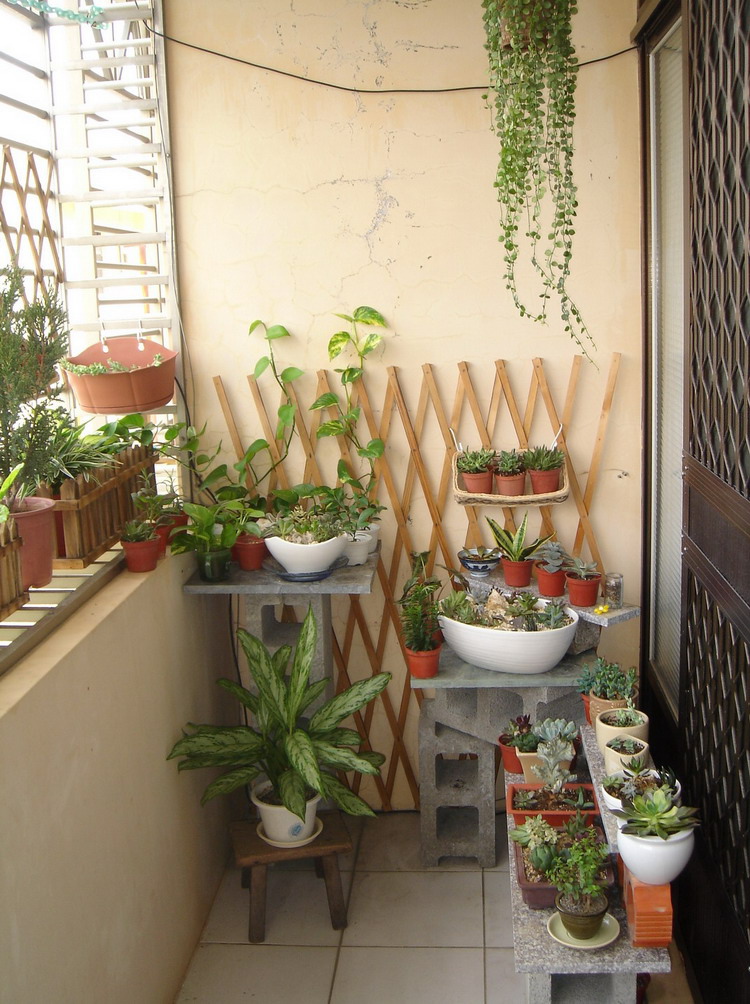 DSC02224.JPG DSC02224.JPG