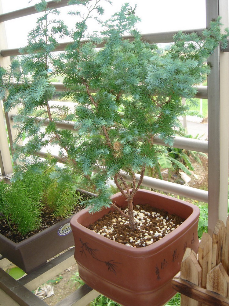 DSC02236.JPG DSC02236.JPG