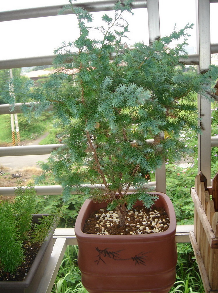 DSC02235.JPG DSC02235.JPG