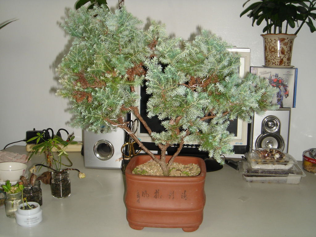 DSC07140.JPG DSC07140.JPG