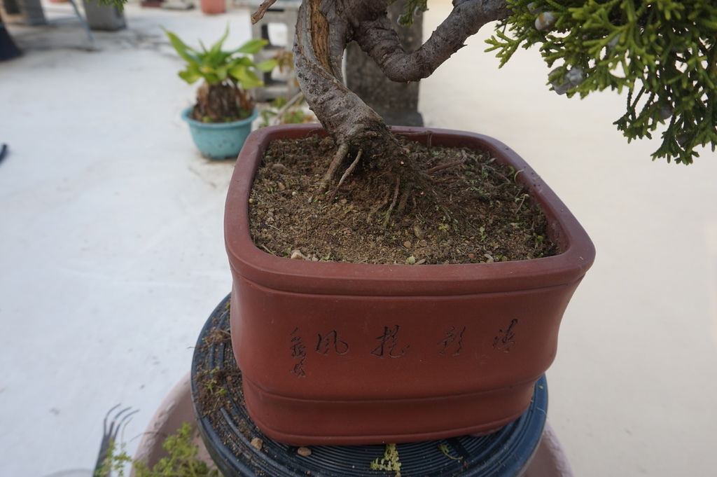 08除草及清潔乾淨.JPG 08除草及清潔乾淨.JPG