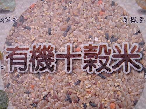 營養的早餐 十穀米 家儀盆栽小世界 痞客邦