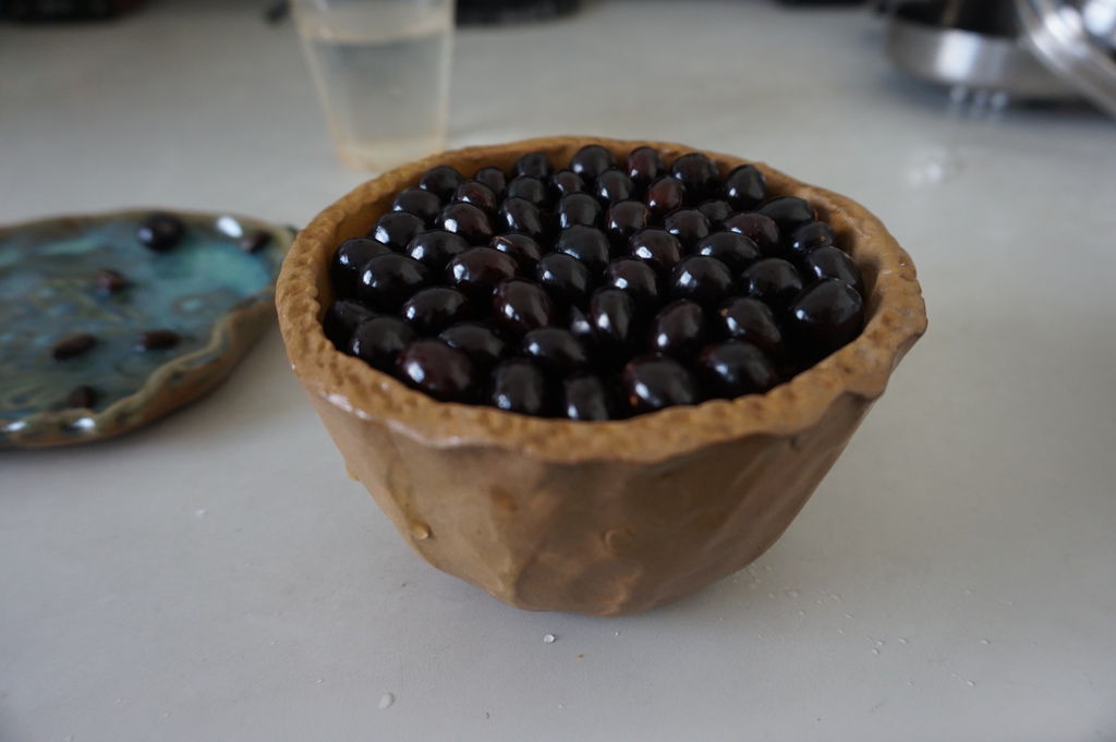 07龍眼種子整期排列完成.JPG 07龍眼種子整期排列完成.JPG