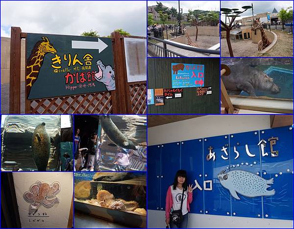 08旭山動物園半日遊~逛逛動物園.jpg