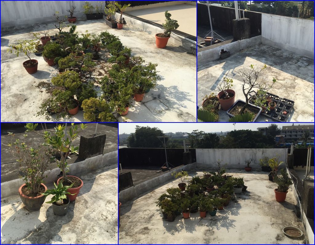 03每天每天搬一些快一個月了大約搬一半了.jpg 03每天每天搬一些快一個月了大約搬一半了.jpg