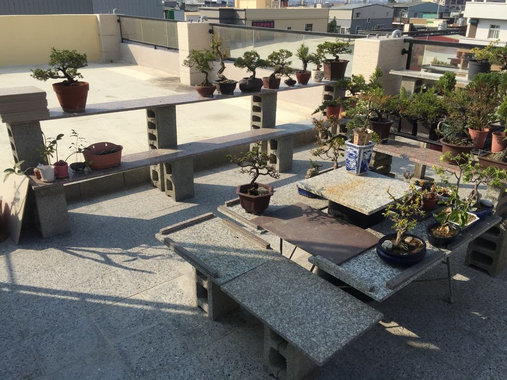 07有些空間要預留給未搬來的松柏盆栽.JPG