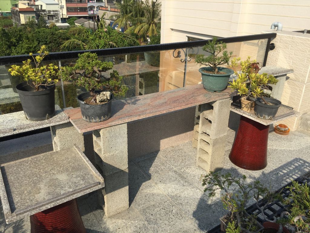 08好位置要給好看的盆栽.JPG 08好位置要給好看的盆栽.JPG