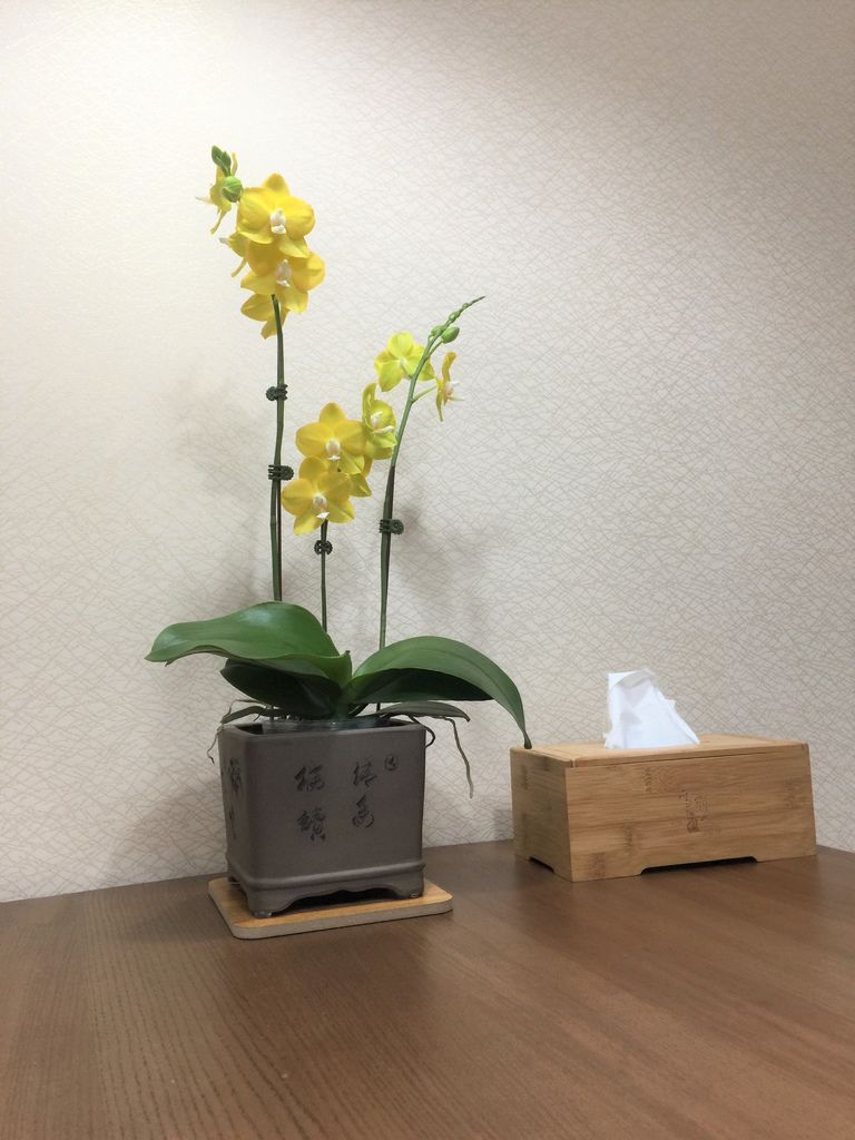 03蘭花~直接擺上在餐桌上.JPG