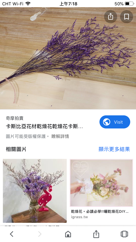 如何使用照片搜尋名稱 Google圖片搜尋 結婚紀念日花束的配花 卡斯比亞 家儀盆栽小世界 痞客邦 如何使用照片搜尋名稱 Google圖片搜尋 結婚紀念日花束的配花 卡斯比亞 家儀盆栽小世界 痞客邦