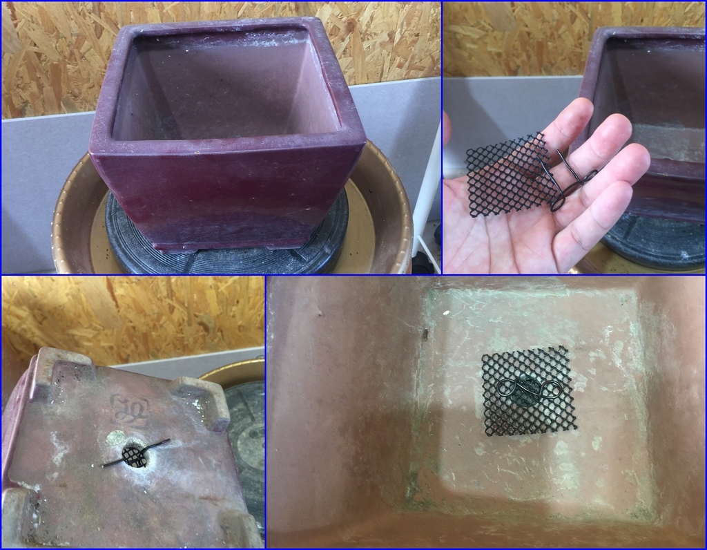 07準備盆器換盆.jpg 07準備盆器換盆.jpg