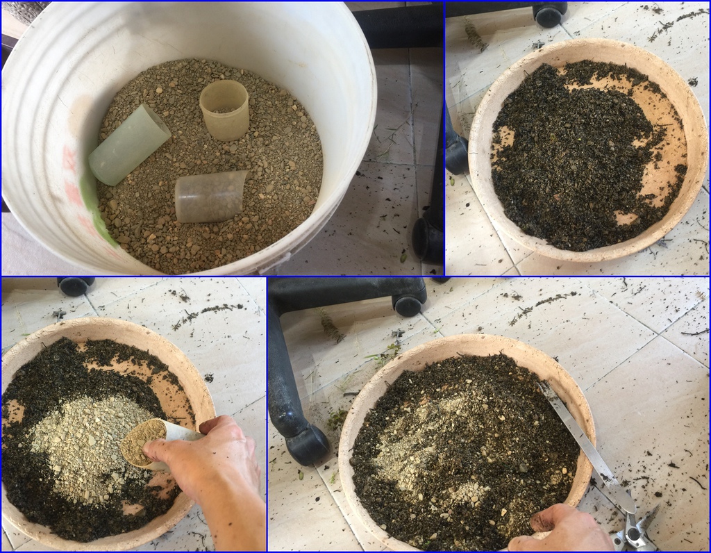 10使用河砂新舊砂土混合使用.jpg 10使用河砂新舊砂土混合使用.jpg