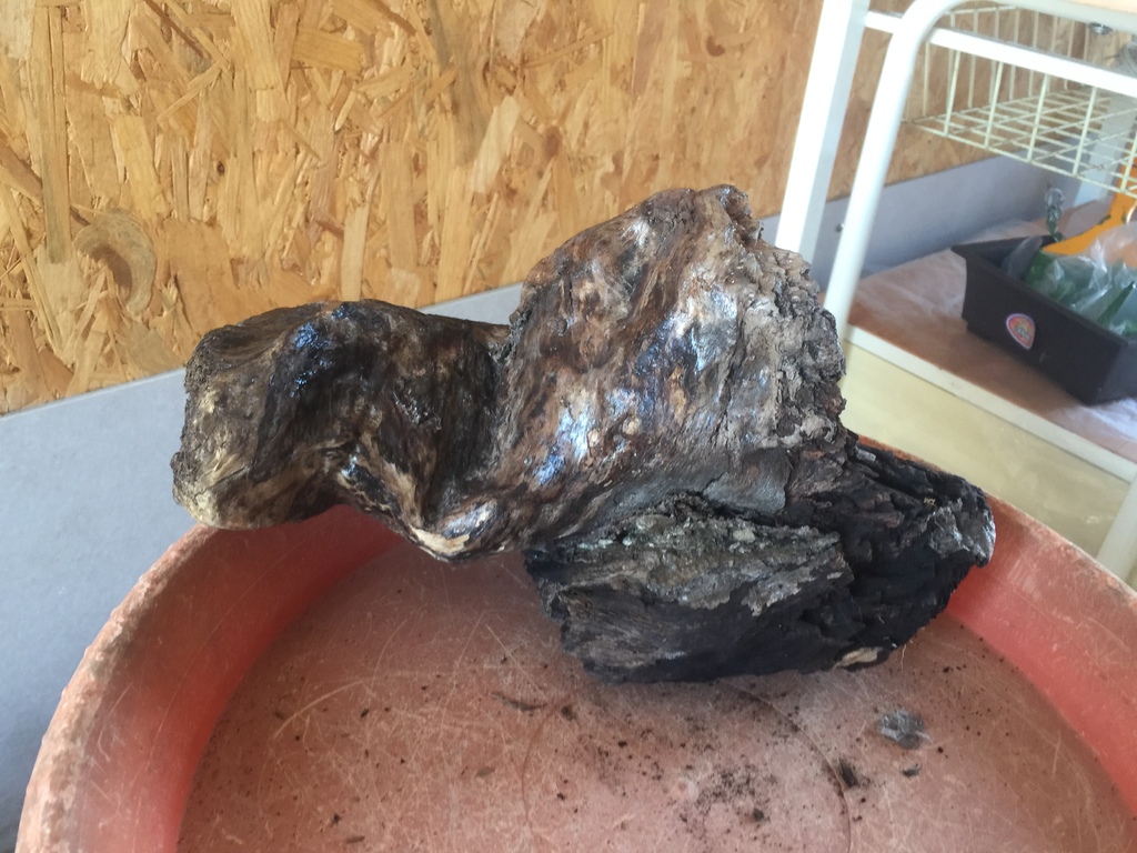 03另一個裝飾木頭.JPG 03另一個裝飾木頭.JPG