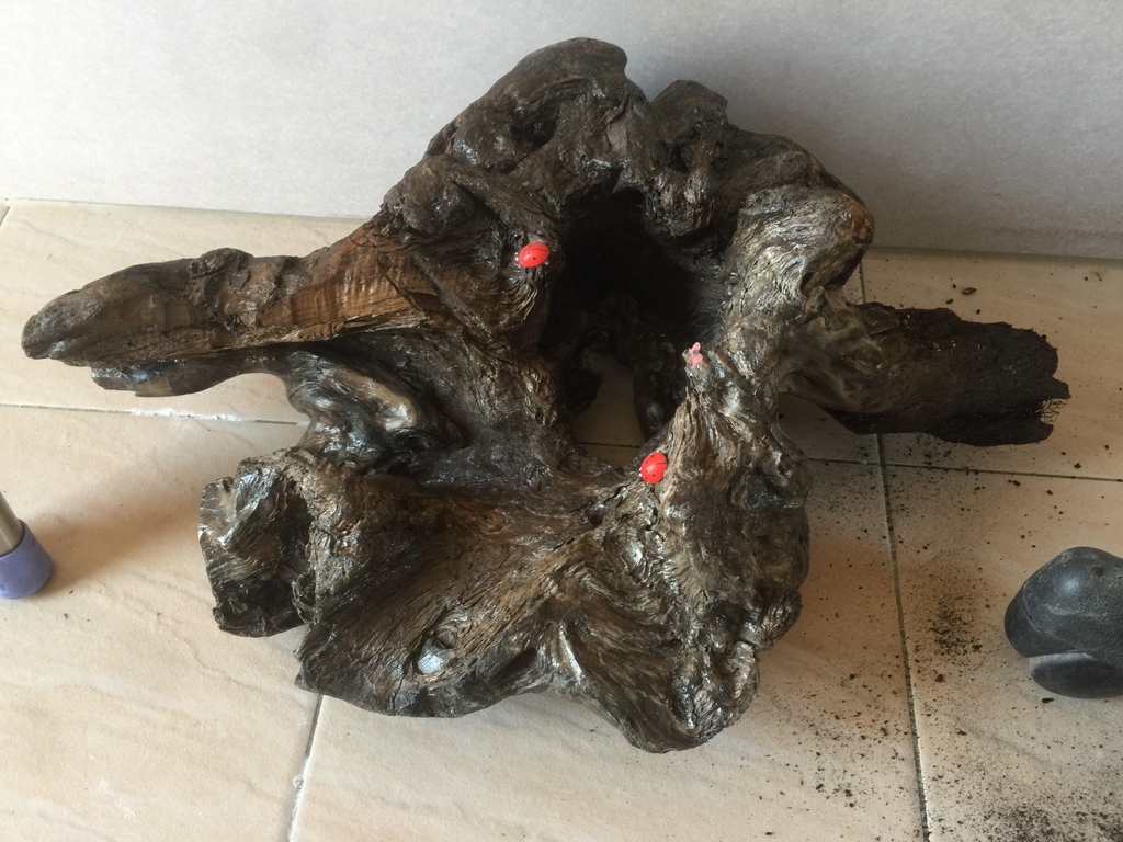 02取出盆景的木頭.JPG 02取出盆景的木頭.JPG