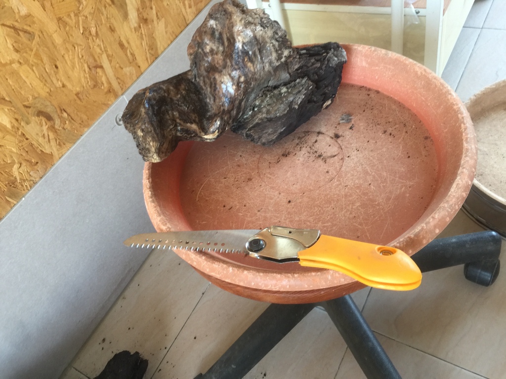 04拿鋸子修整一下.JPG 04拿鋸子修整一下.JPG