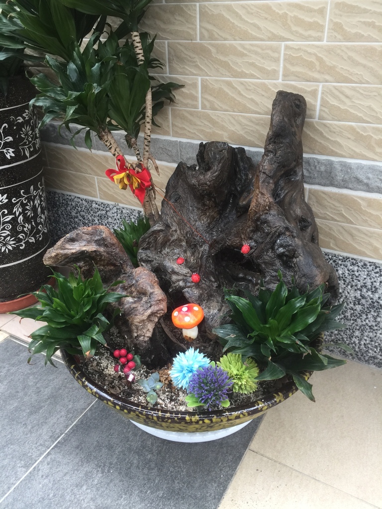 01大型盆花裡面有2個盆景木頭.JPG 01大型盆花裡面有2個盆景木頭.JPG