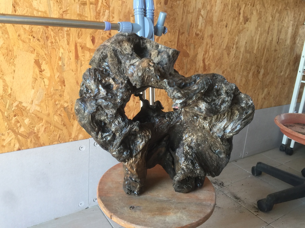 10可以站立了.JPG 10可以站立了.JPG