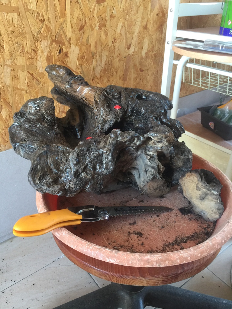 08鋸了第一塊.JPG 08鋸了第一塊.JPG