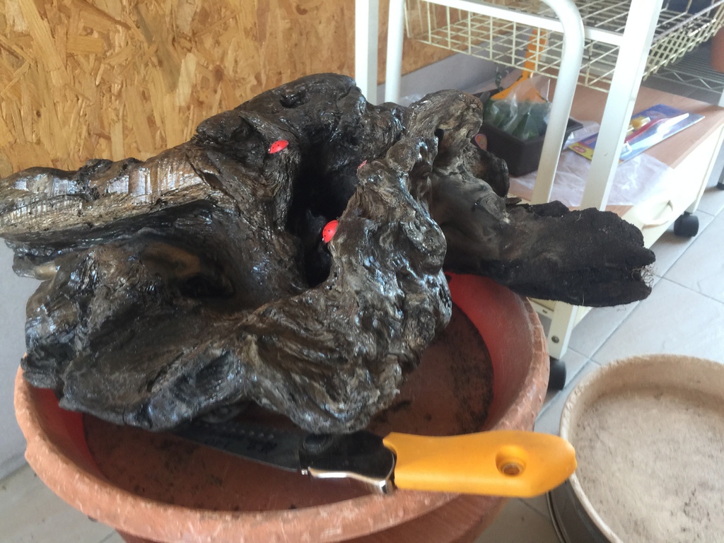 07這個大木頭要如何處理思考很久.JPG 07這個大木頭要如何處理思考很久.JPG