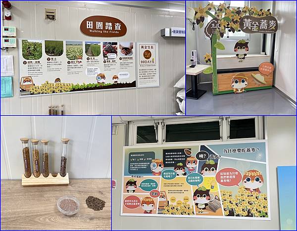 13參觀蕎麥觀光工廠~蕎麥展示區.jpg