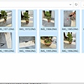 03-DNG檔案相當大~16個檔案要552MB.JPG