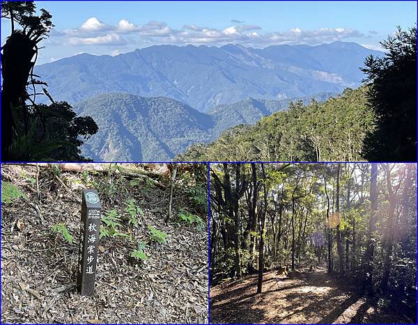 18下山走秋海棠步道~中途還可以看到美美的山景.jpg