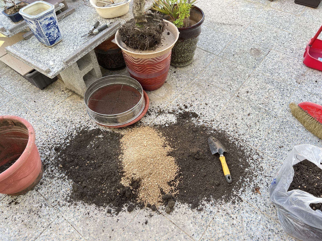 12原來的土壤再加點新土~混合.JPG