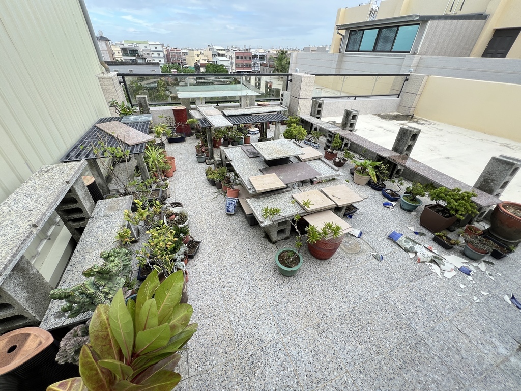 01我家頂樓花園~颱颱過後的災損及復原(20241004拍攝).JPG