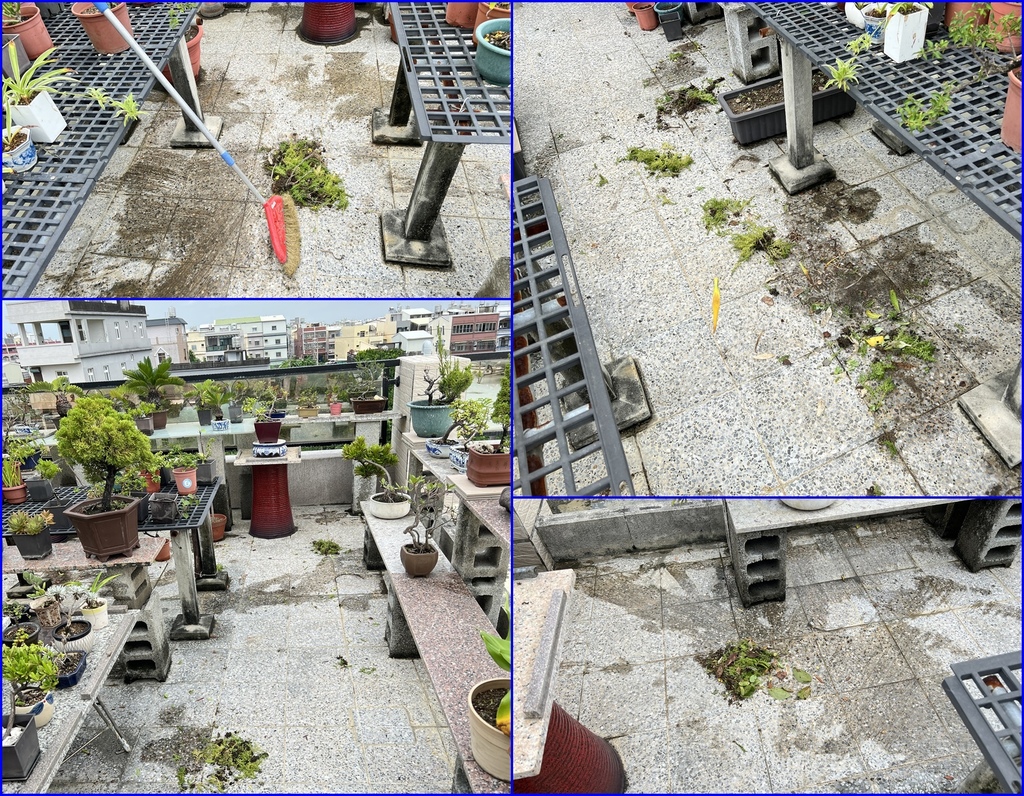 14頂樓花園的清掃.jpg