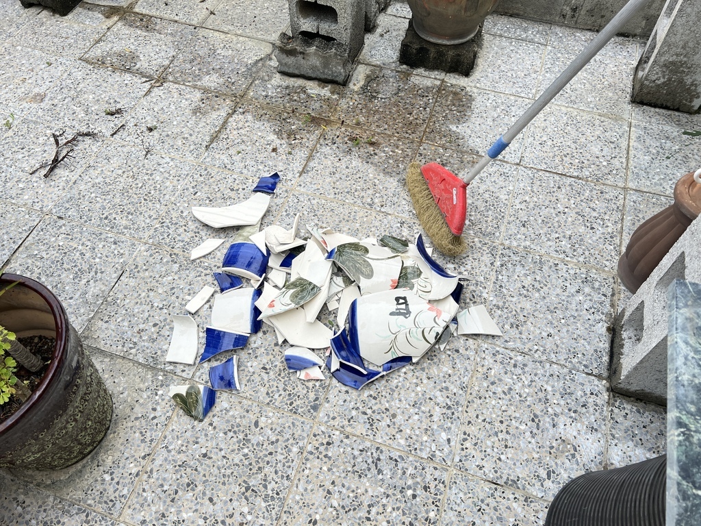 12大前瓶沒有搬到室內~被吹倒破盆.JPG