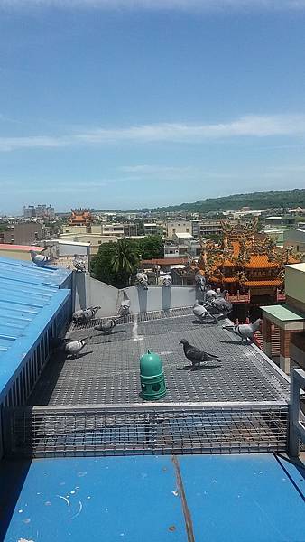 20160701_110543.jpg 20160701_110543.jpg