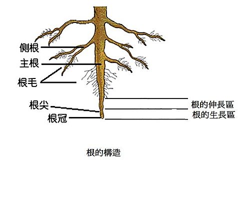 001 基礎知識 蕃王的部落格 痞客邦