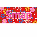 ＳＭＡＰ