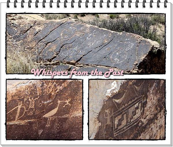 6. Patrified NP - petroglyph.jpg