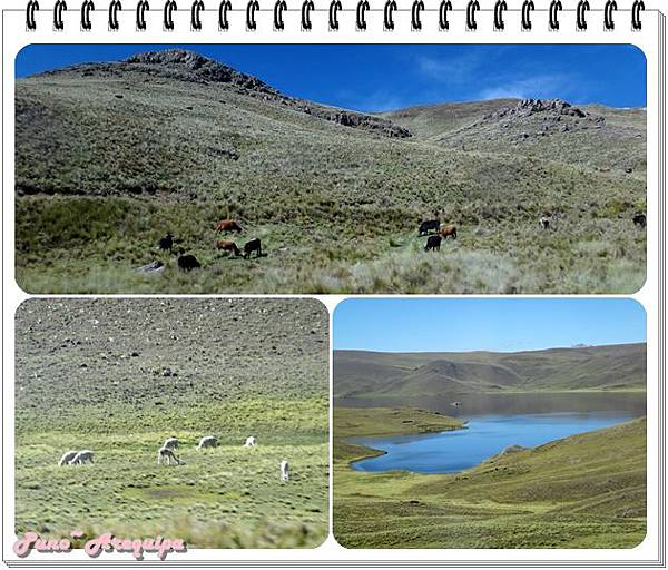 3. Puno - Mirador Alto Lagunillas.jpg