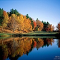 1Fall_Colors_03.jpg