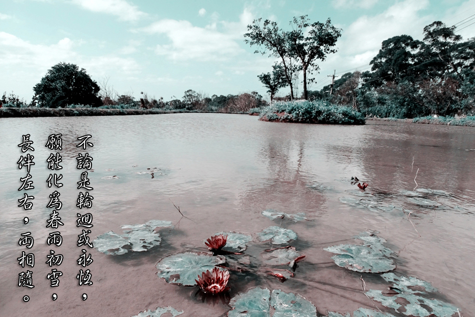 1414.jpg 1414.jpg